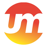 Usha Martin Share Price