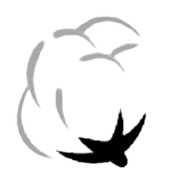 Ashnoor Textile Mills Share Price