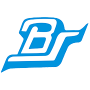 Bharat Seats  Share Price