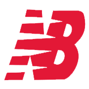 NB Footwear Share Price