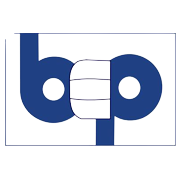 Bhansali Engineering Polymers Share Price