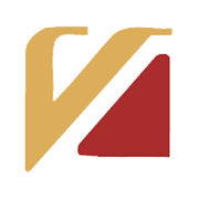 Vinyl Chemicals (I) Share Price