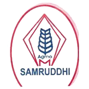 M P Agro Industries Share Price