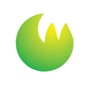 Cyber Media (India) Share Price