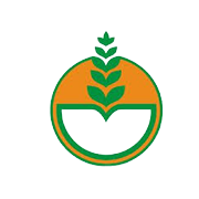 Deepak Fertilisers & Petrochemicals Corp Share Price