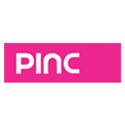 Pioneer Investcorp Share Price