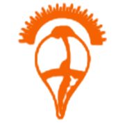 Cella Space Share Price