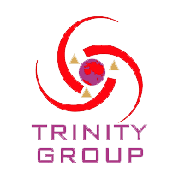 Trinity League India Share Price