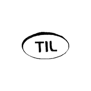 Tridev InfraEstates Share Price