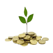 Yamini Investment Company Share Price