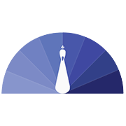 Reliance Chemotex Industries Share Price
