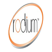 Rodium Realty Share Price