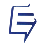 Electrosteel Castings Share Price