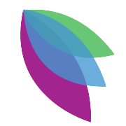 Westlife Foodworld Share Price