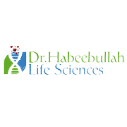 Samsrita Labs Share Price