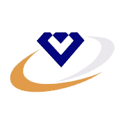 Vaibhav Global Share Price