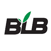 BLB Share Price