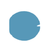 G-Tech Info Training Share Price