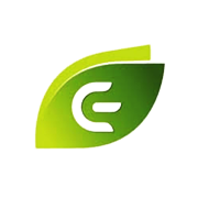 Emergent Industrial Solutions Share Price