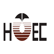 Hindustan Oil Exploration Company Share Price