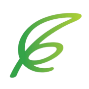 Kovilpatti Lakshmi Roller Flour Mills Share Price