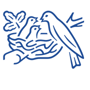 Nestle India Share Price