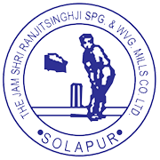 Jamshri Realty Share Price