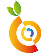 Foods & Inns Share Price