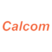 Calcom Vision Share Price