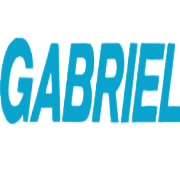 Gabriel India Share Price