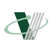 Voltaire Leasing & Finance Share Price