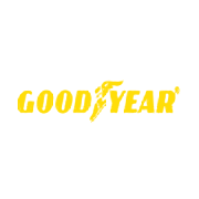 Goodyear India Share Price