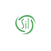 Southern Infoconsultants Share Price