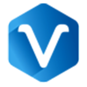 Virgo Global Share Price