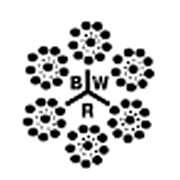 Bombay Wire Ropes Share Price