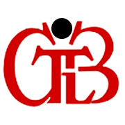 Gujarat Themis Biosyn  Share Price