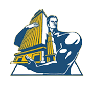 Ambuja Cements Share Price