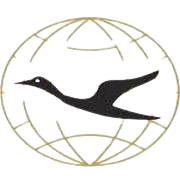 Maral Overseas Share Price