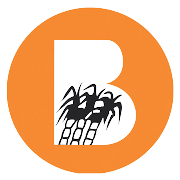 Balrampur Chini Mills Share Price