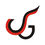 Indian Acrylics Share Price