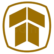 Thakral Services (India) Share Price