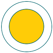 Lactose (India) Share Price