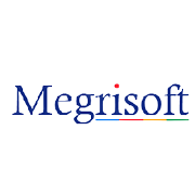 Megri Soft Share Price