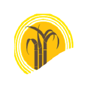 Mawana Sugars Share Price