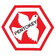 Pentokey Organy (India) Share Price