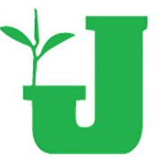 Shri Vasuprada Plantations Share Price