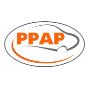 PPAP Automotive Share Price