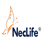Nectar Lifescience Share Price