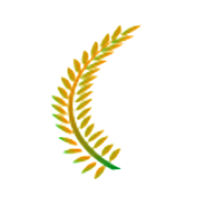 Equippp Social Impact Technologies Share Price