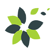 Retro Green Revolution Share Price